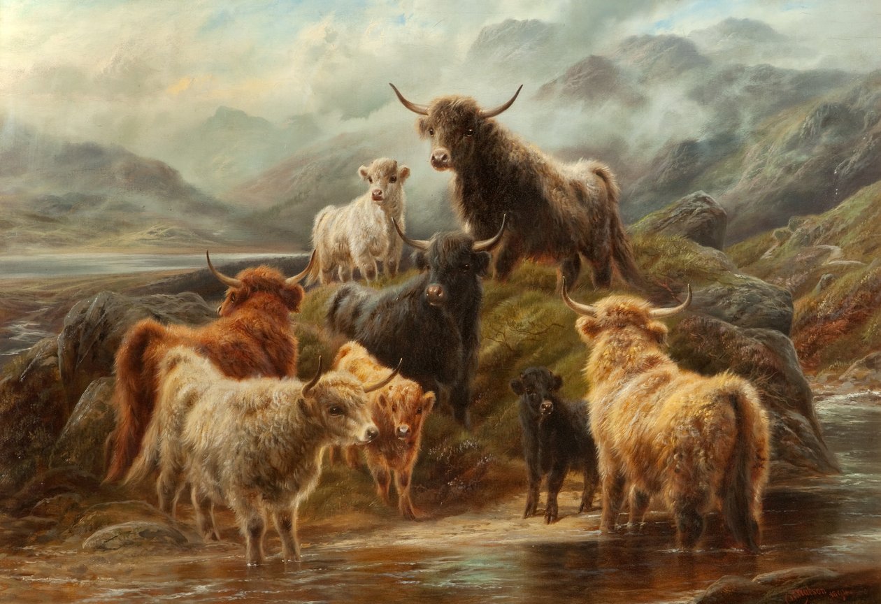 Bydło wyżynne, 1894 autorstwa Robert Watson