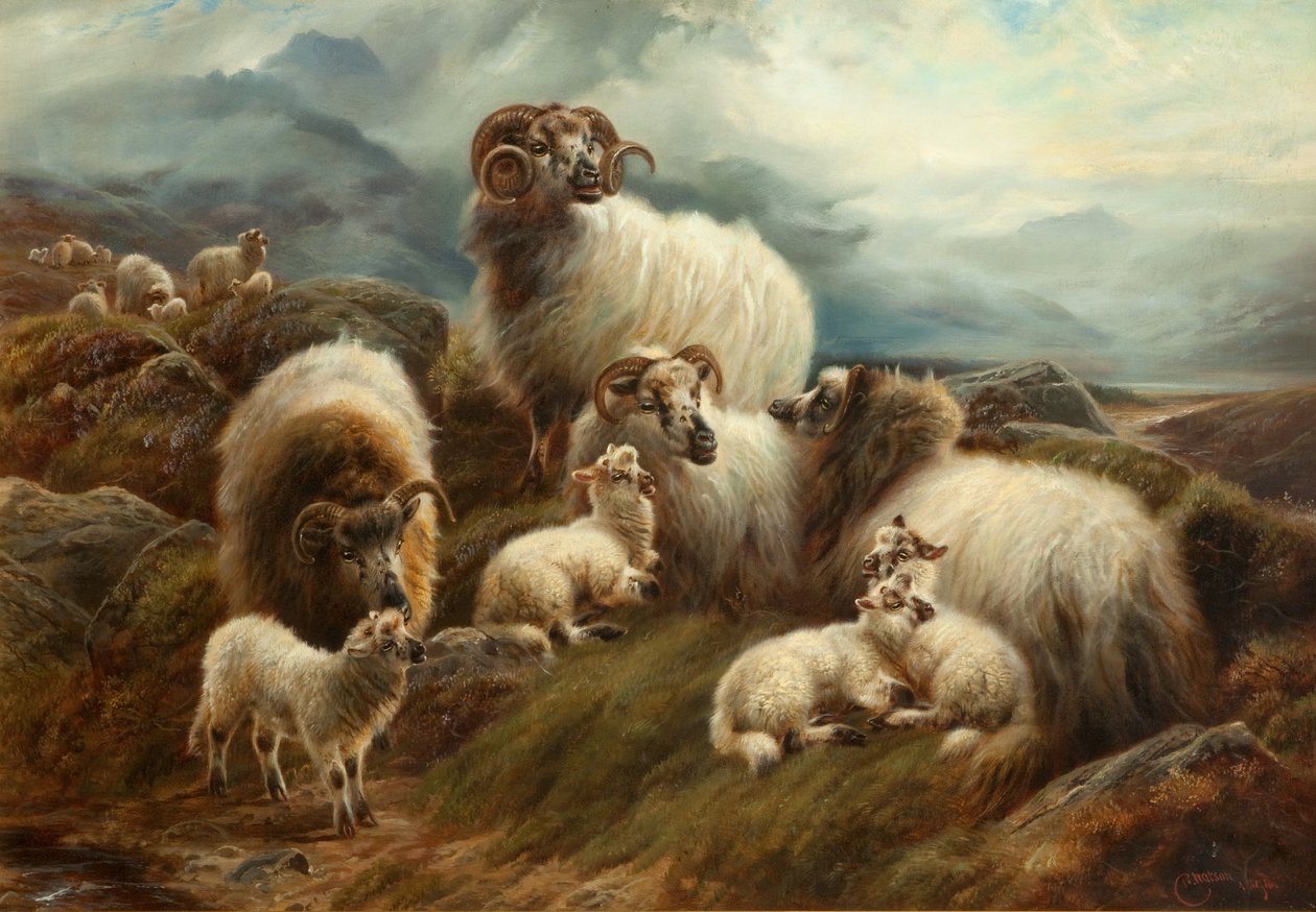 Owce w krajobrazie, 1894 autorstwa Robert Watson