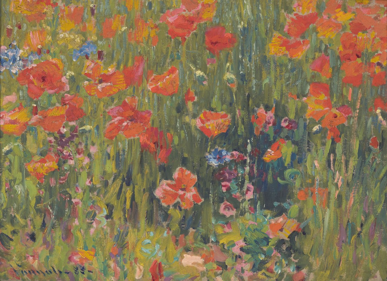 Maki autorstwa Robert William Vonnoh