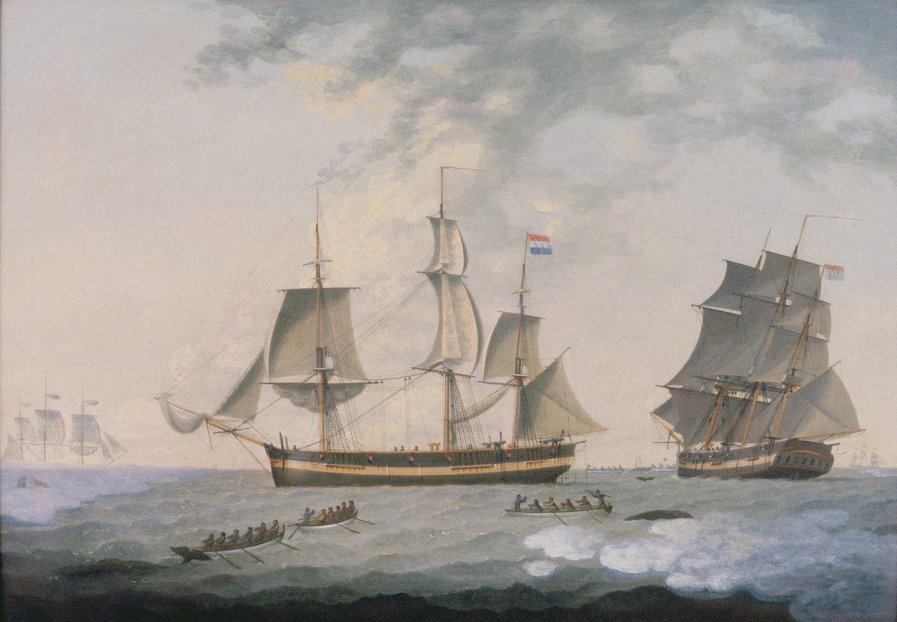 Połowy wielorybów w Arktyce autorstwa Robert Willoughby
