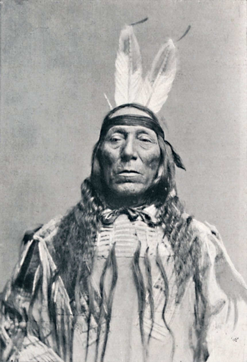 Widok całej twarzy Indianina Siuksów, 1912 autorstwa Robert Wilson Shufeldt