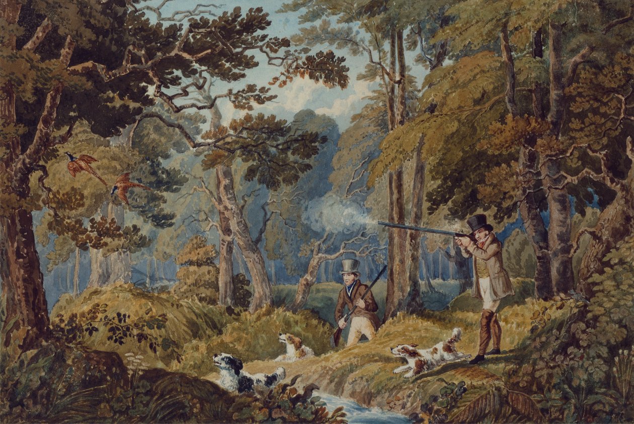 Polowanie na kuropatwy w pobliżu Windsoru (kolorowa litografia) autorstwa Robert the Elder Havell