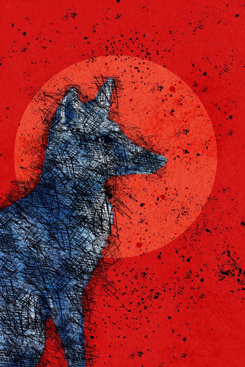 Blood Moon Fox, 2022 (w wersji cyfrowej) autorstwa Roberta Murray
