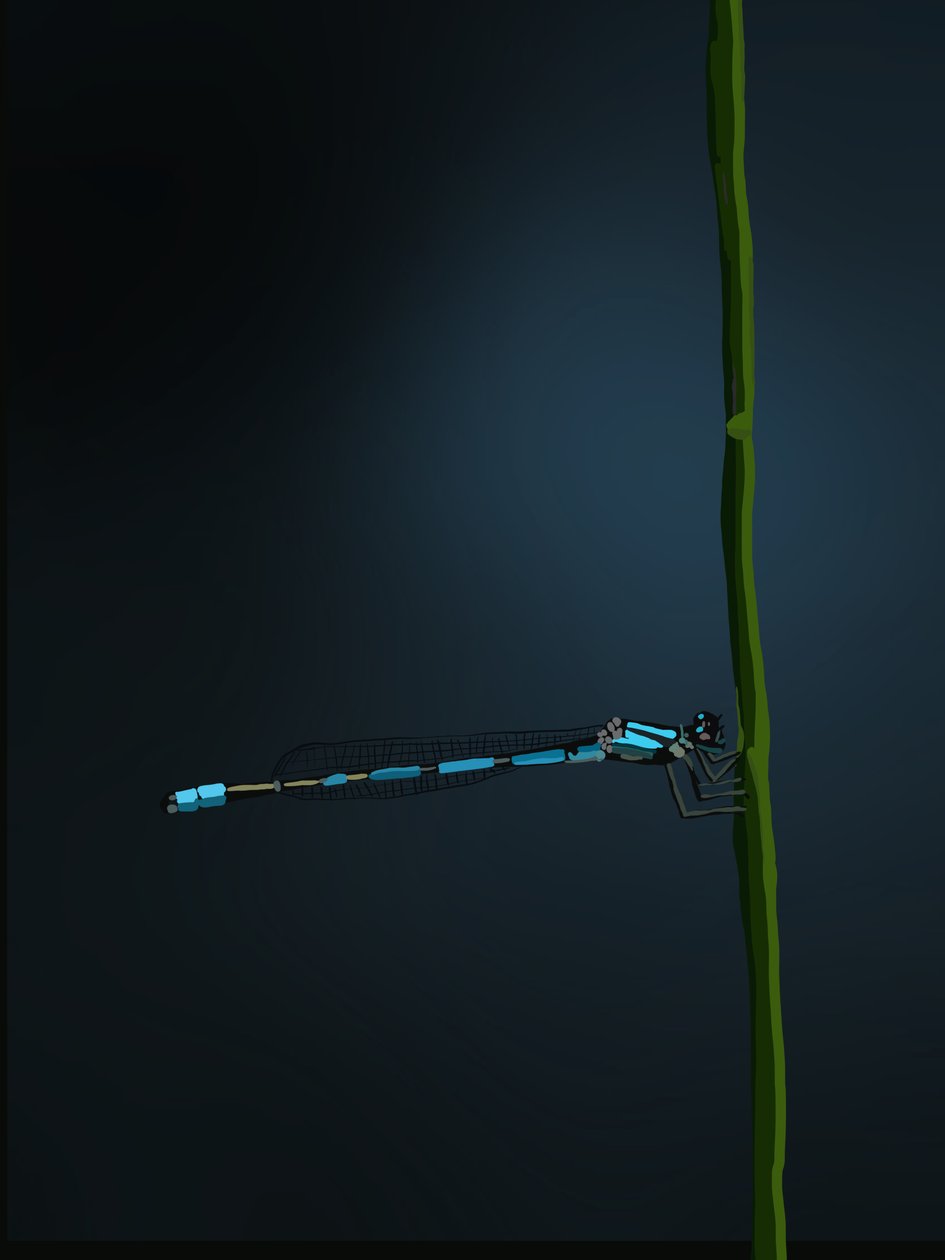 Damselfly, 2022 (cyfrowy) autorstwa Roberta Murray