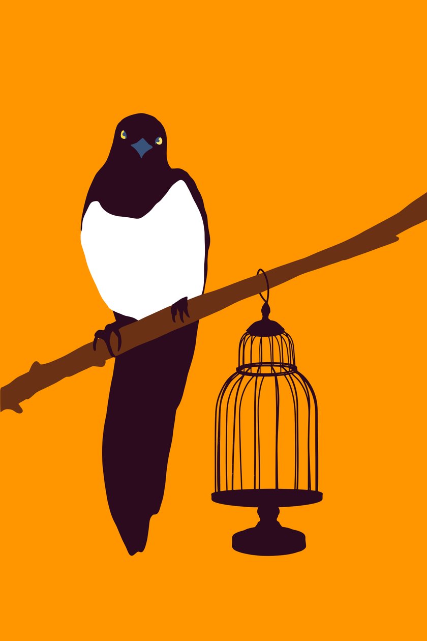 Garden Variety Magpie, 2022 (w wersji cyfrowej) autorstwa Roberta Murray