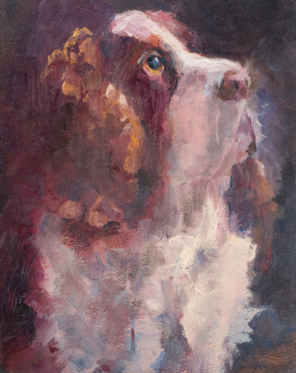 Romeo, 2015 (olej na panelu) autorstwa Roberta Murray