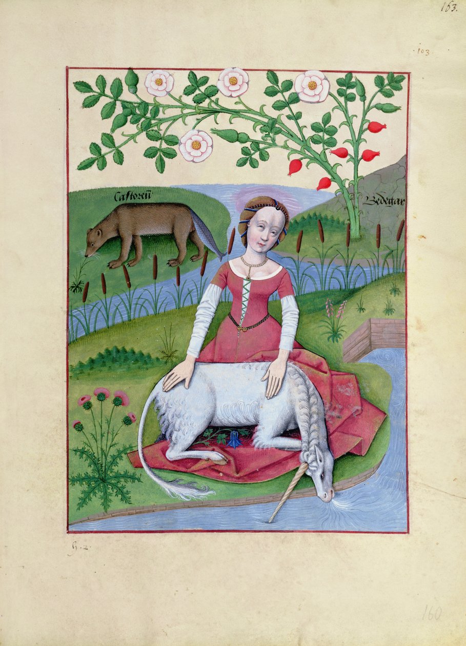 Pani ks. Fv VI fol.163r Ilustracja z Księgi prostych leków autorstwa Mateusza Platearius autorstwa Robinet Testard