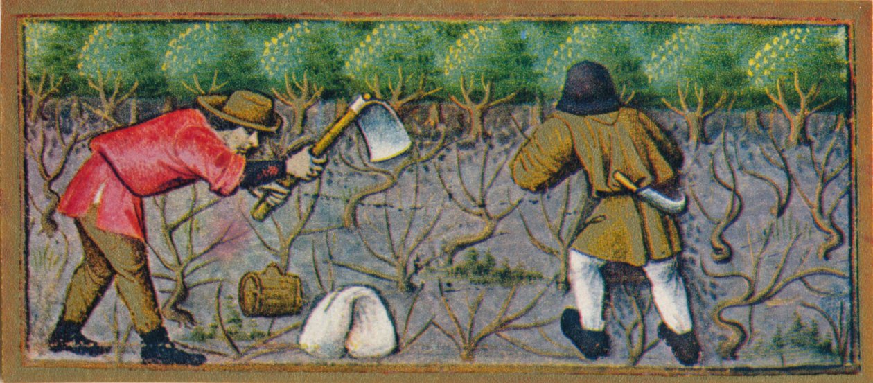 Marzec - praca w winnicy, XV w., 1939r. autorstwa Robinet Testard
