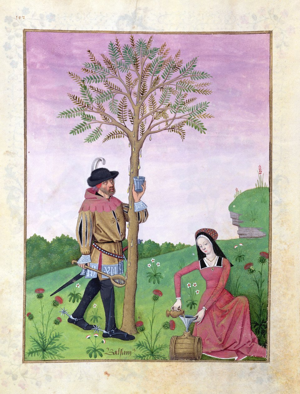 Pani ks. Fv VI #1 fol.162v Rysowanie soku z drzewa, ilustracja z „Księgi prostych leków” autorstwa Mattheausa Plateariusa (d.c.1161) c.1470 (welum) autorstwa Robinet Testard