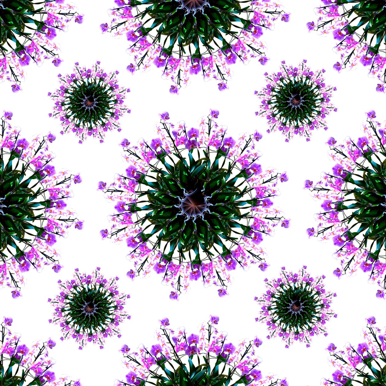 Świat orchidei autorstwa Robyn Parker