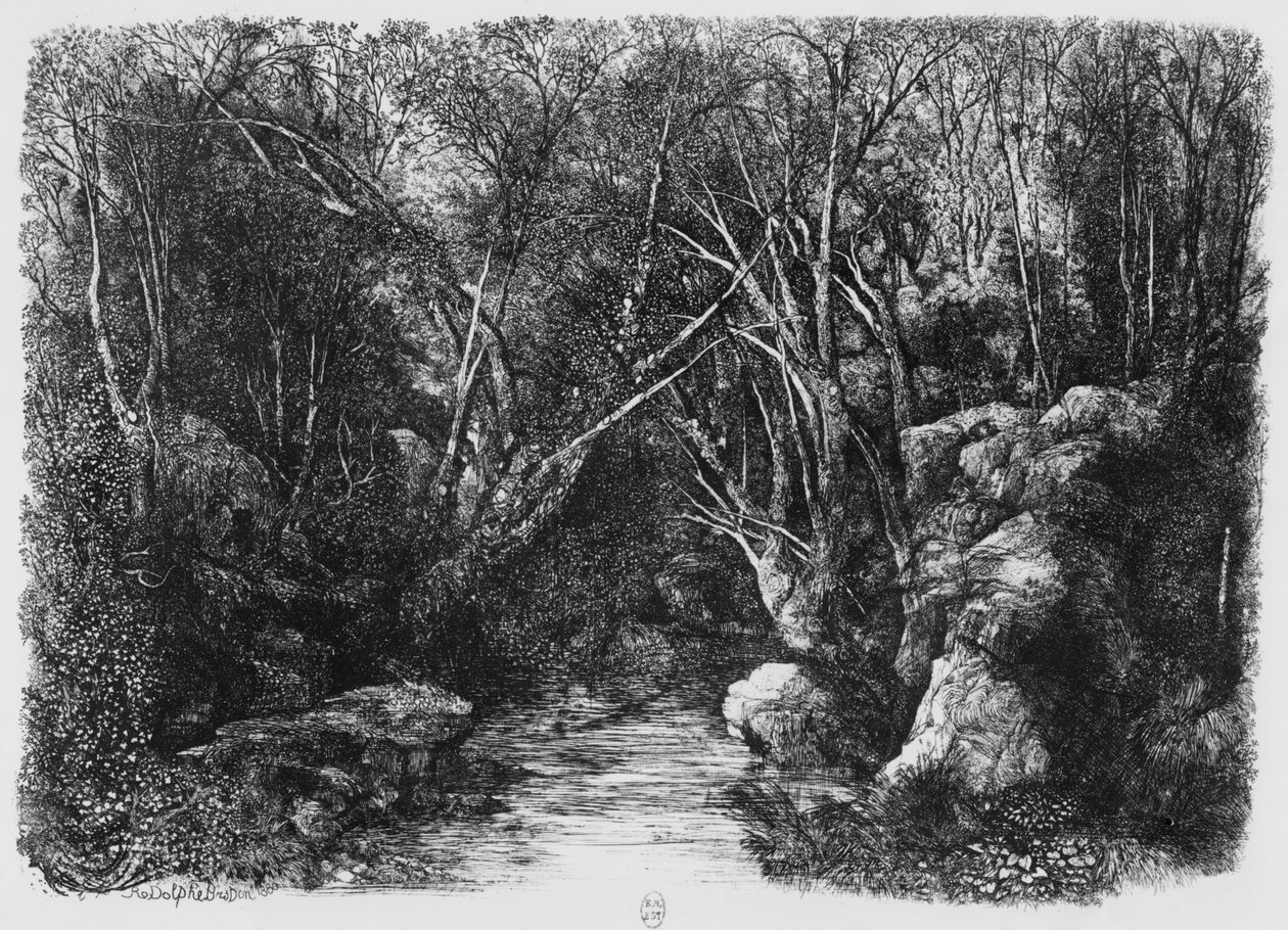 Strumień przez drzewa, 1880 autorstwa Rodolphe Bresdin
