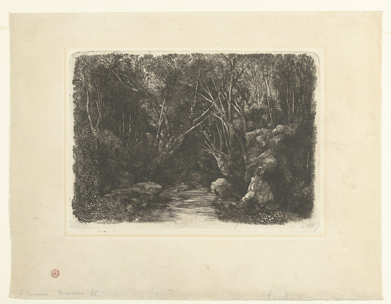 Leśny krajobraz ze strumieniami i zwisającymi drzewami Le Ruisseau sous bois autorstwa Rodolphe Bresdin