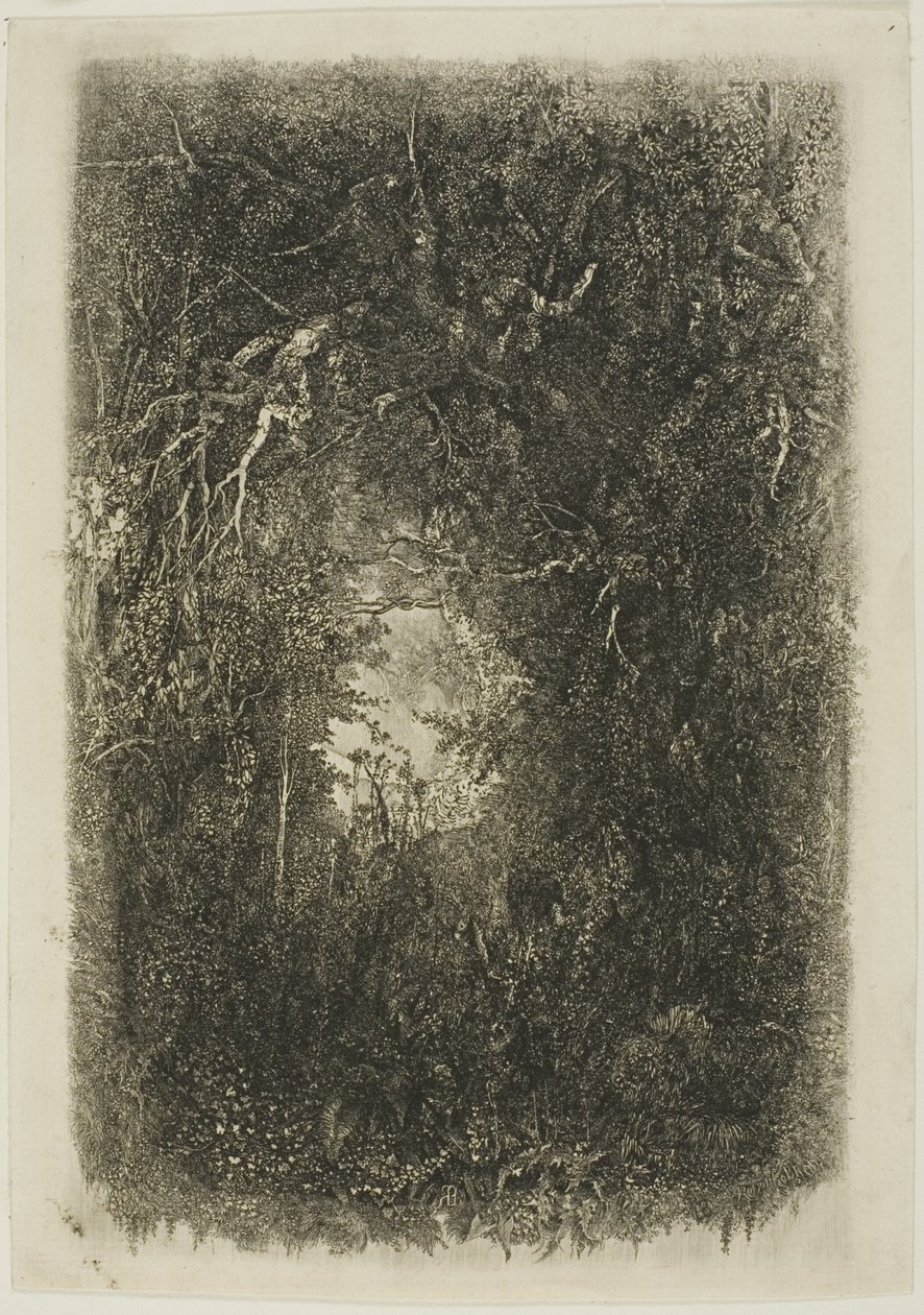 Polana w lesie autorstwa Rodolphe Bresdin