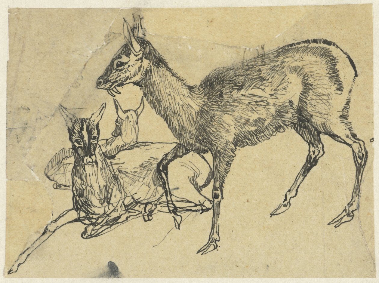 Trzy jelenie autorstwa Rodolphe Bresdin