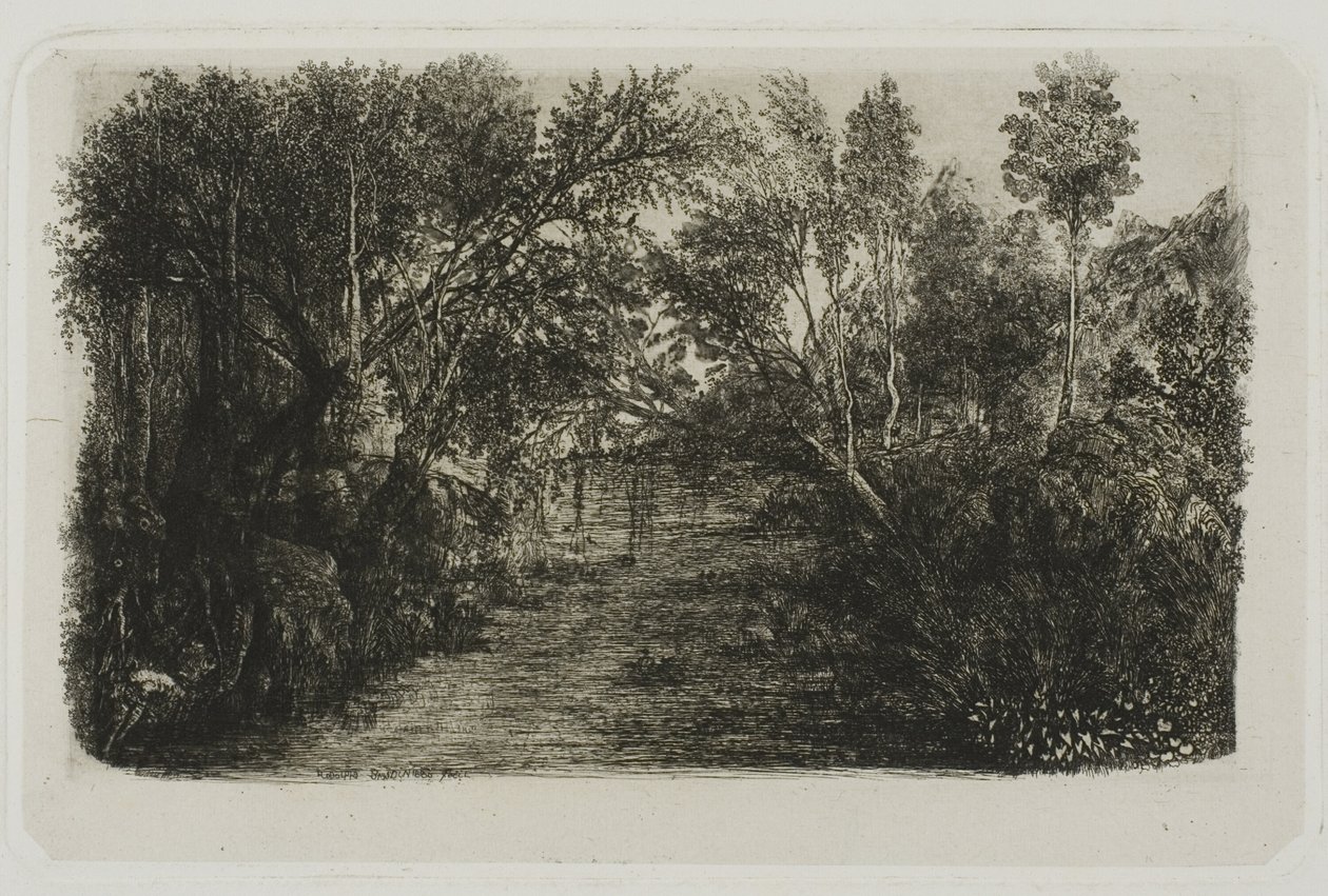 Strumien autorstwa Rodolphe Bresdin