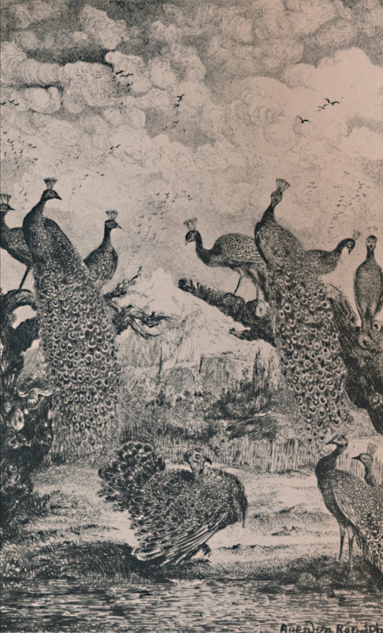 Pawie, 1869, 1946 autorstwa Rodolphe Bresdin
