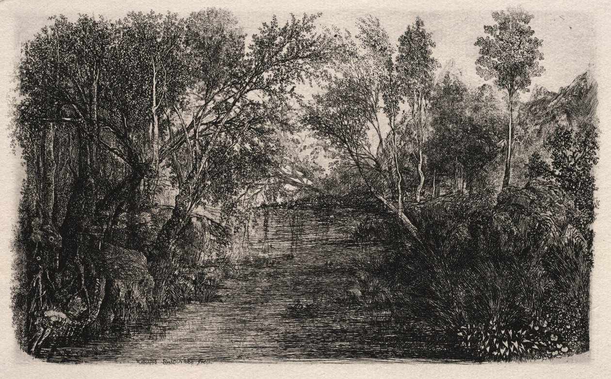 Strumień, 1880. autorstwa Rodolphe Bresdin