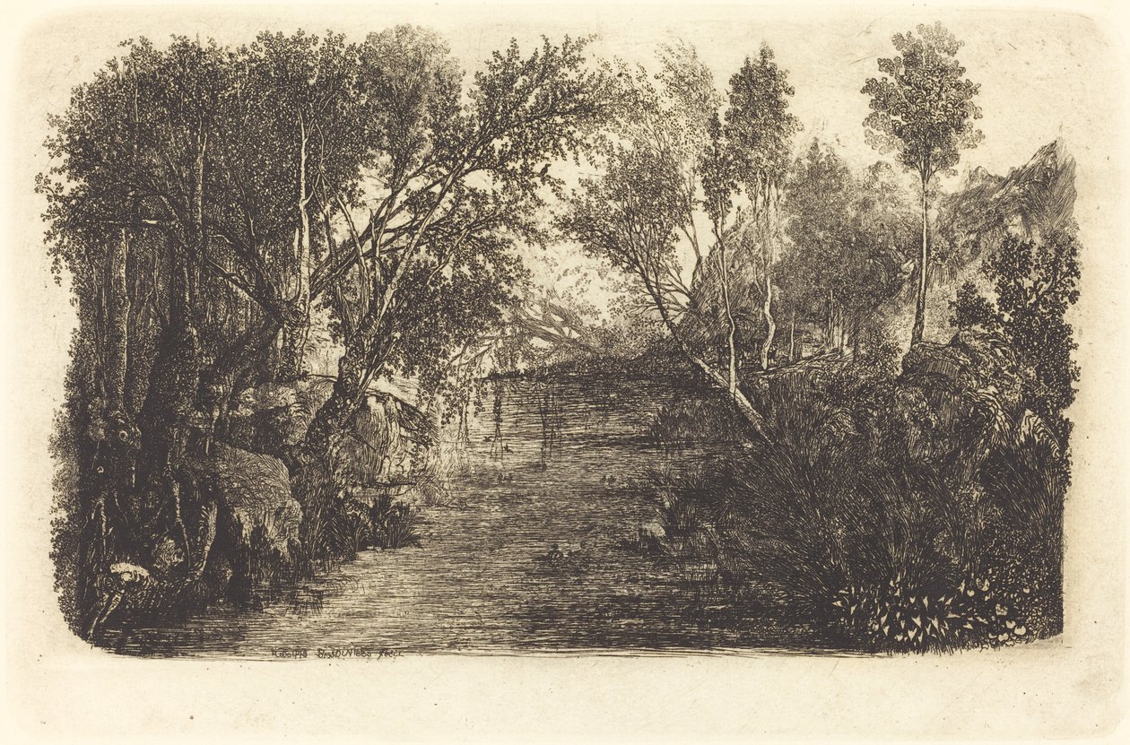 Kurs wody autorstwa Rodolphe Bresdin