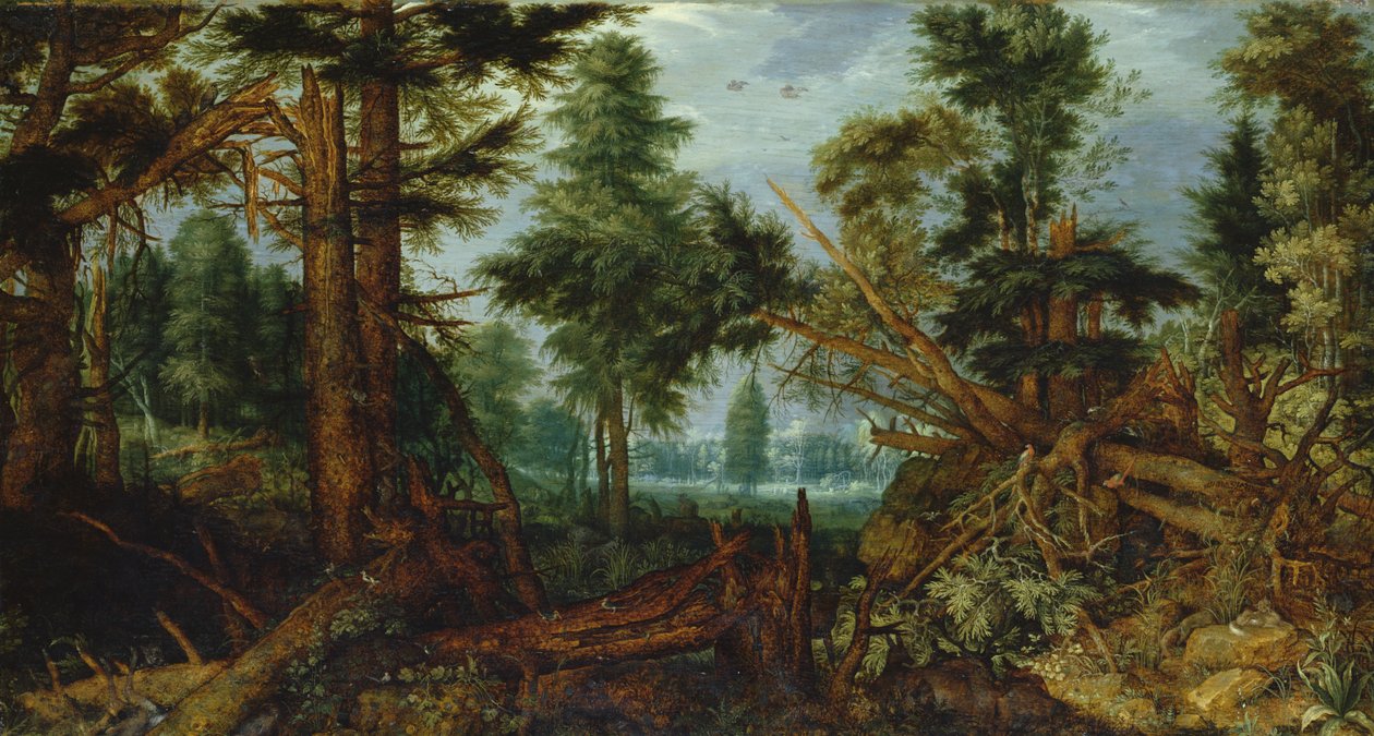 Lasy po burzy autorstwa Roelandt Jacobsz. Savery