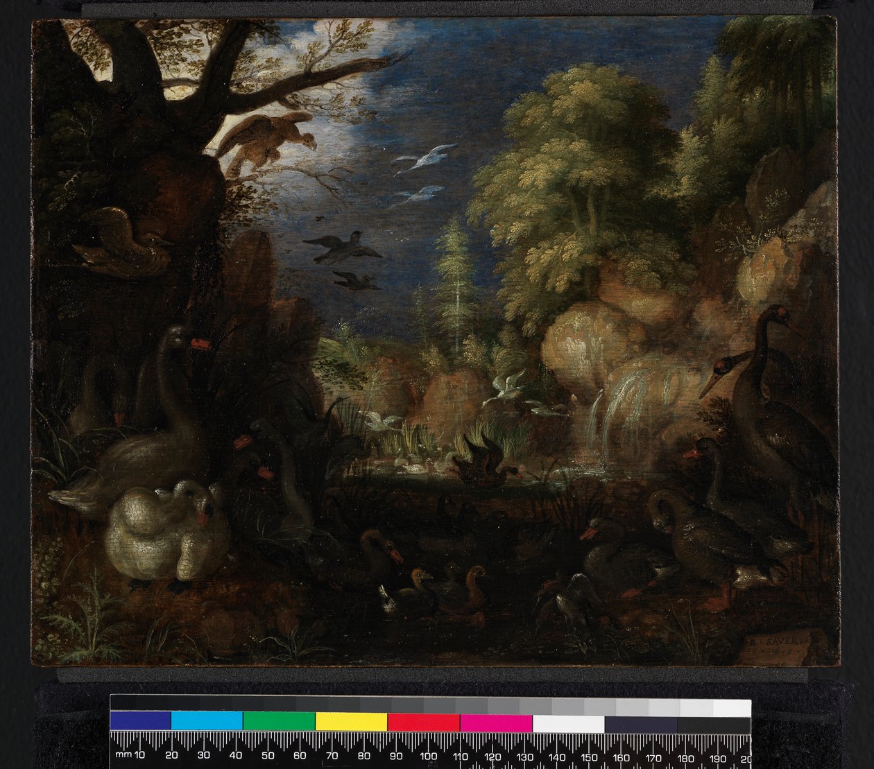 Stworzenie ptaków, 1619 autorstwa Roelandt Jacobsz. Savery