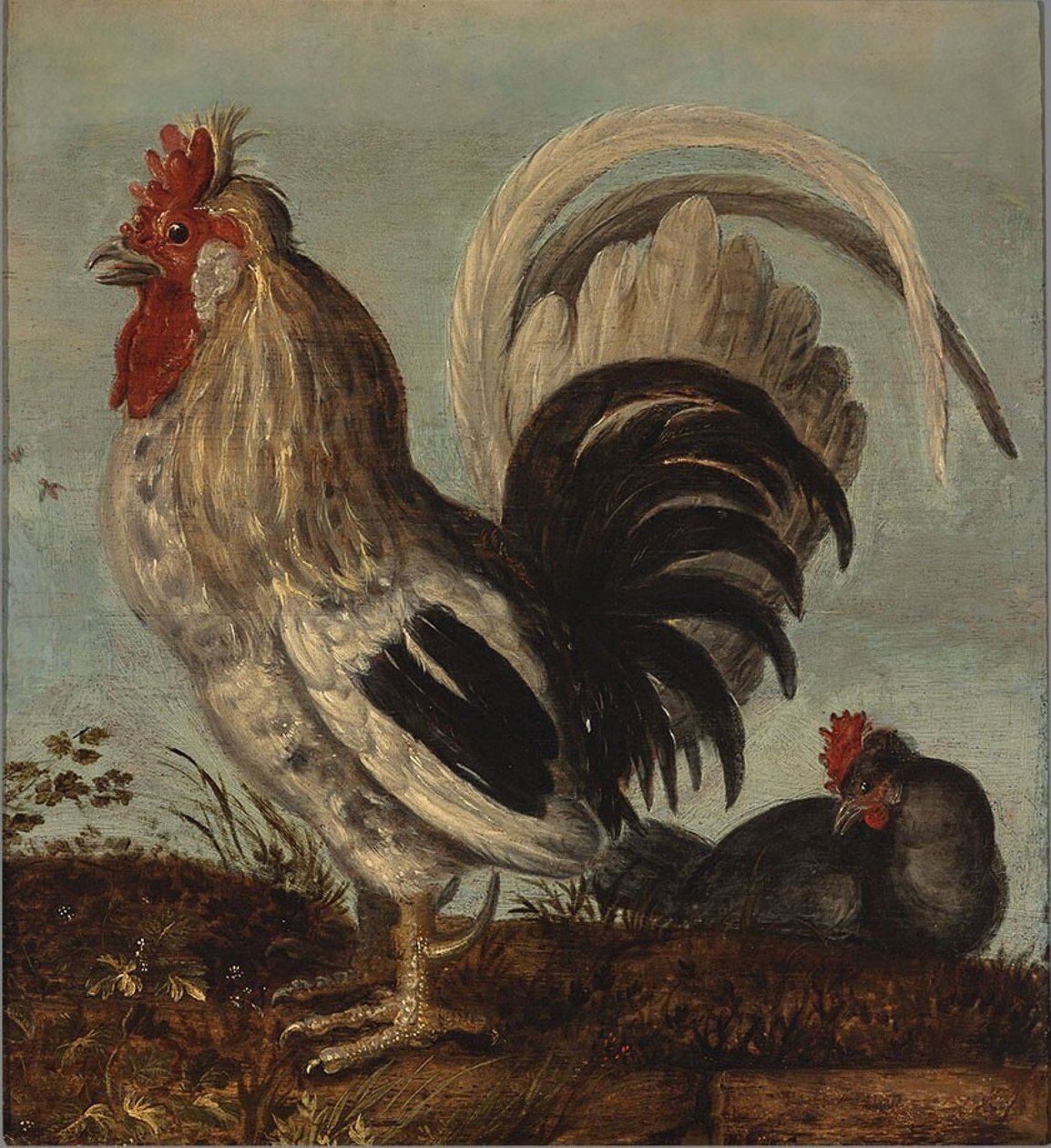 kogut autorstwa Roelandt Jacobsz. Savery