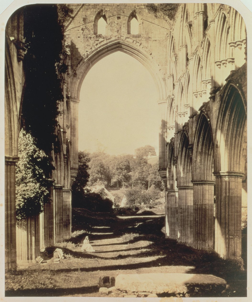 Opactwo Rievaulx, North Yorkshire, 1854 (zdjęcie w sepii) autorstwa Roger Fenton
