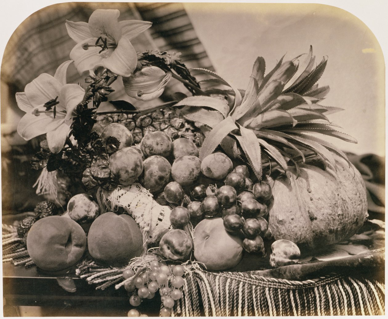 Martwa natura z owocami, 1860 (zdjęcie w sepii) autorstwa Roger Fenton