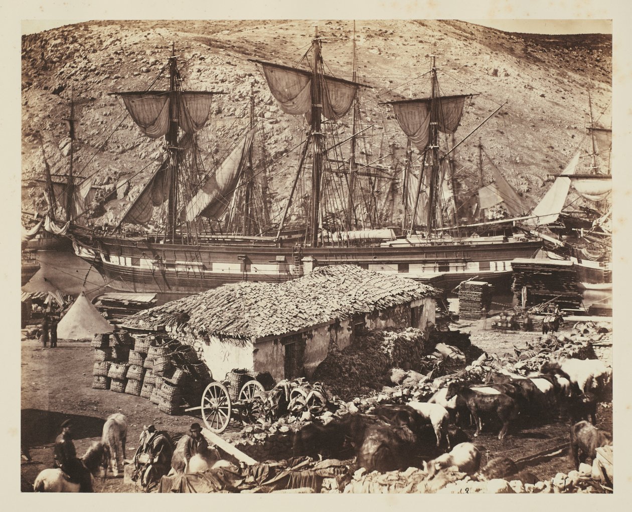 Port w Bałakławie, nabrzeże dla bydła autorstwa Roger Fenton