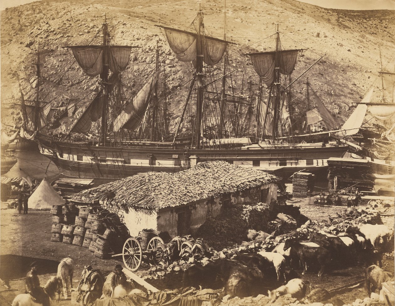 Port w Bałakławie, nabrzeże dla bydła autorstwa Roger Fenton