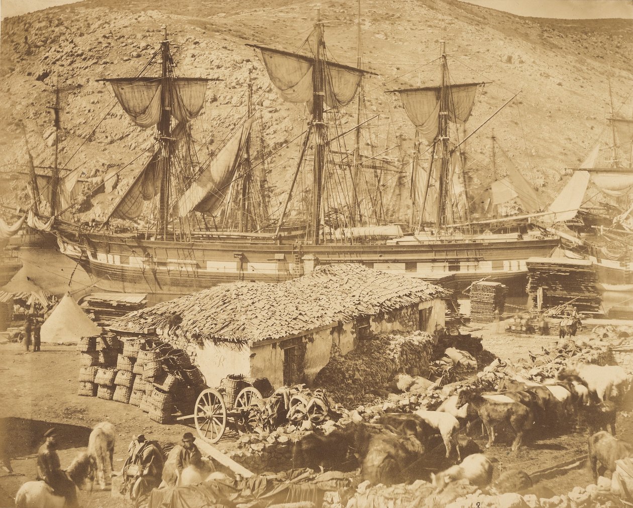 Port w Bałakławie, nabrzeże dla bydła autorstwa Roger Fenton
