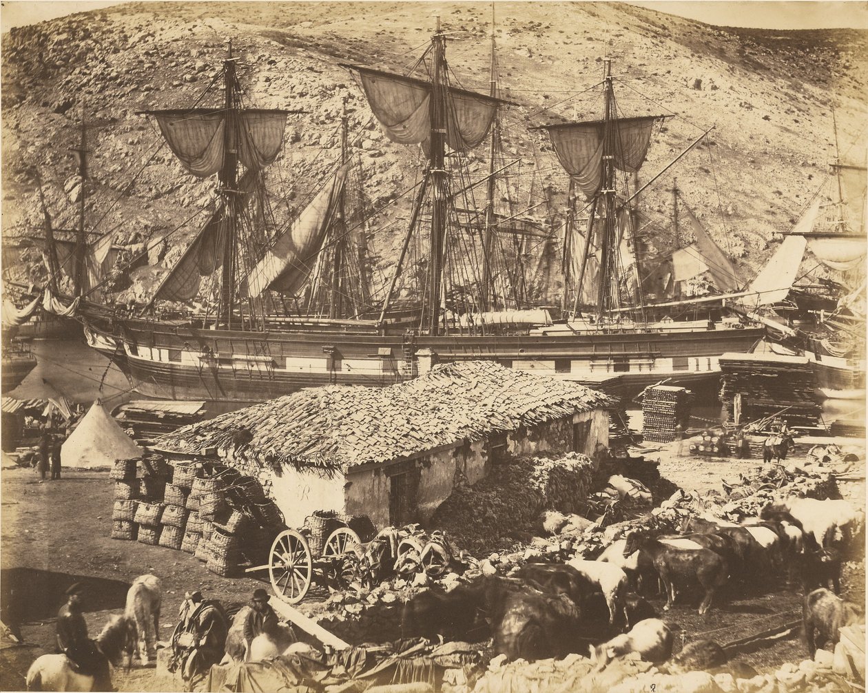 Port w Bałakławie, nabrzeże dla bydła autorstwa Roger Fenton