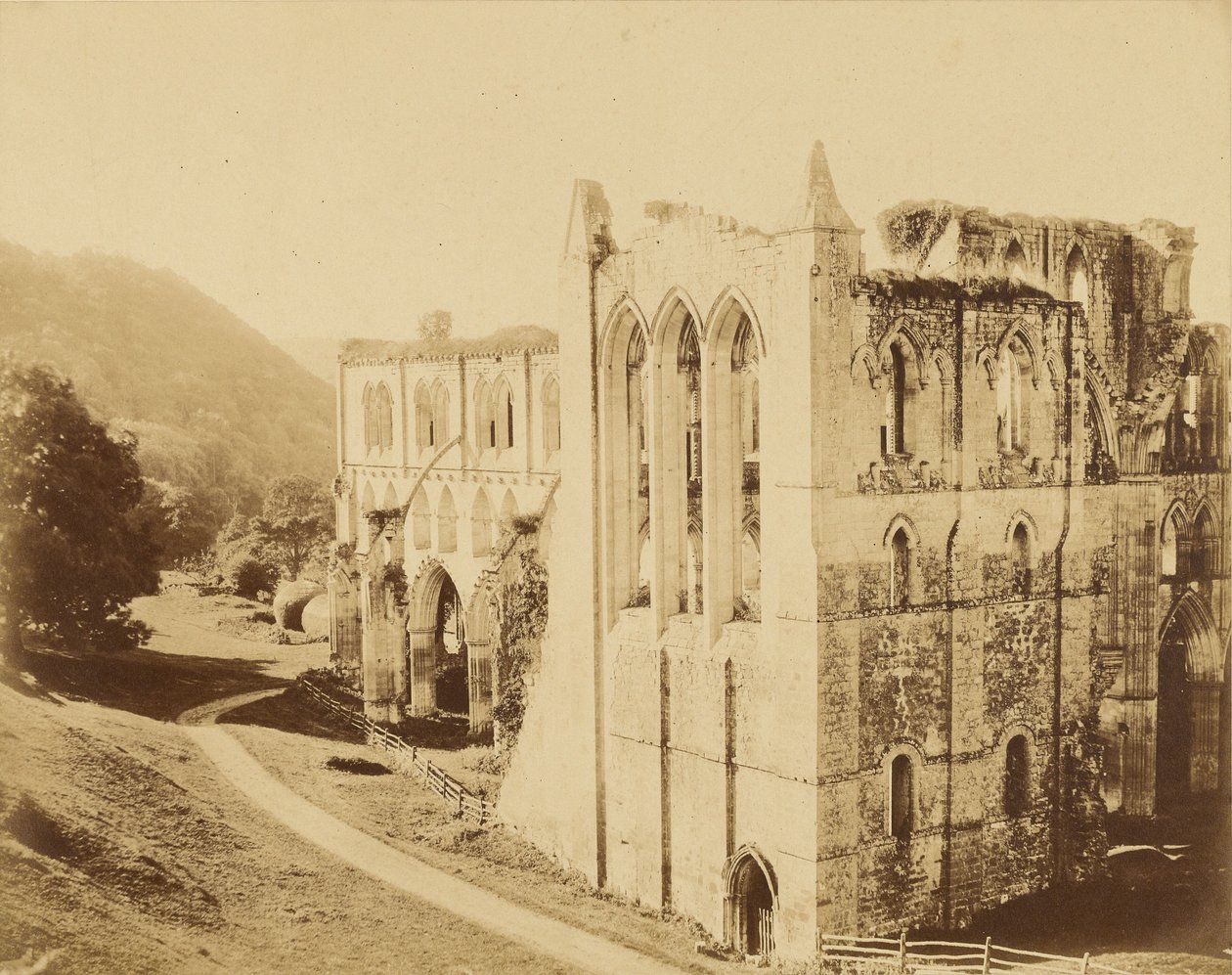 Opactwo Rievaulx autorstwa Roger Fenton