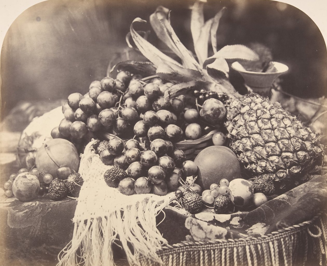 Martwa natura z owocami, 1860. autorstwa Roger Fenton