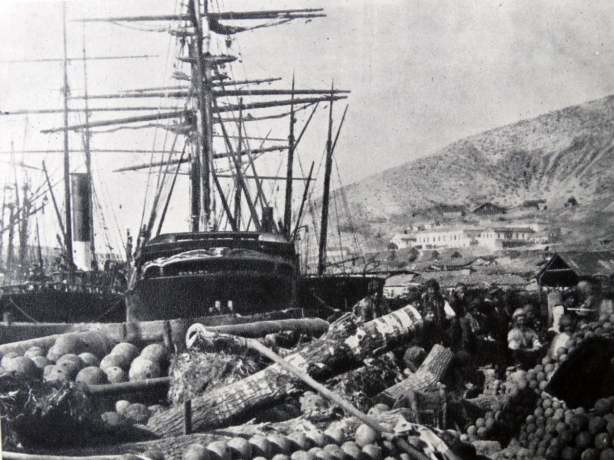 Nabrzeże Ordnance, Kominiarka autorstwa Roger Fenton