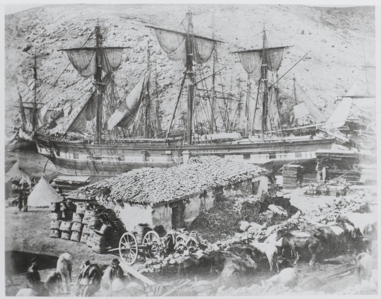 „Pomost dla bydła w porcie Balaklava” autorstwa Roger Fenton
