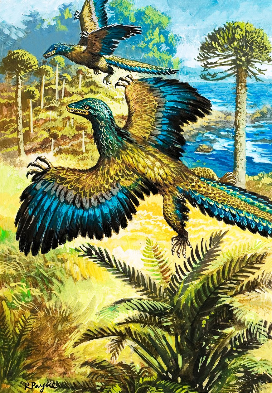 Archaeopreryx autorstwa Roger Payne