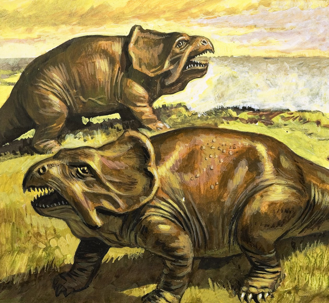 Protoceratops, ilustracja z książki "W czasach dinozaurów, odkrycie na pustyni autorstwa Roger Payne