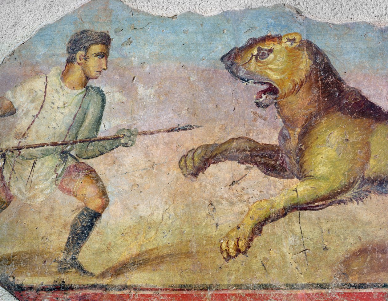 Gladiator walczący z lwem, fragment fresku w amfiteatrze Merida z 696579 autorstwa Roman