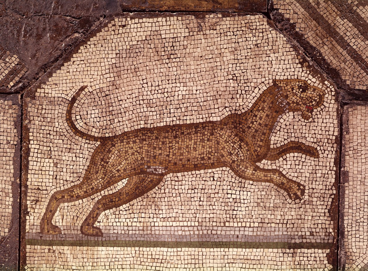 Lampart, fragment Orfeusza Czarujący Zwierzęta (mozaika) autorstwa Roman
