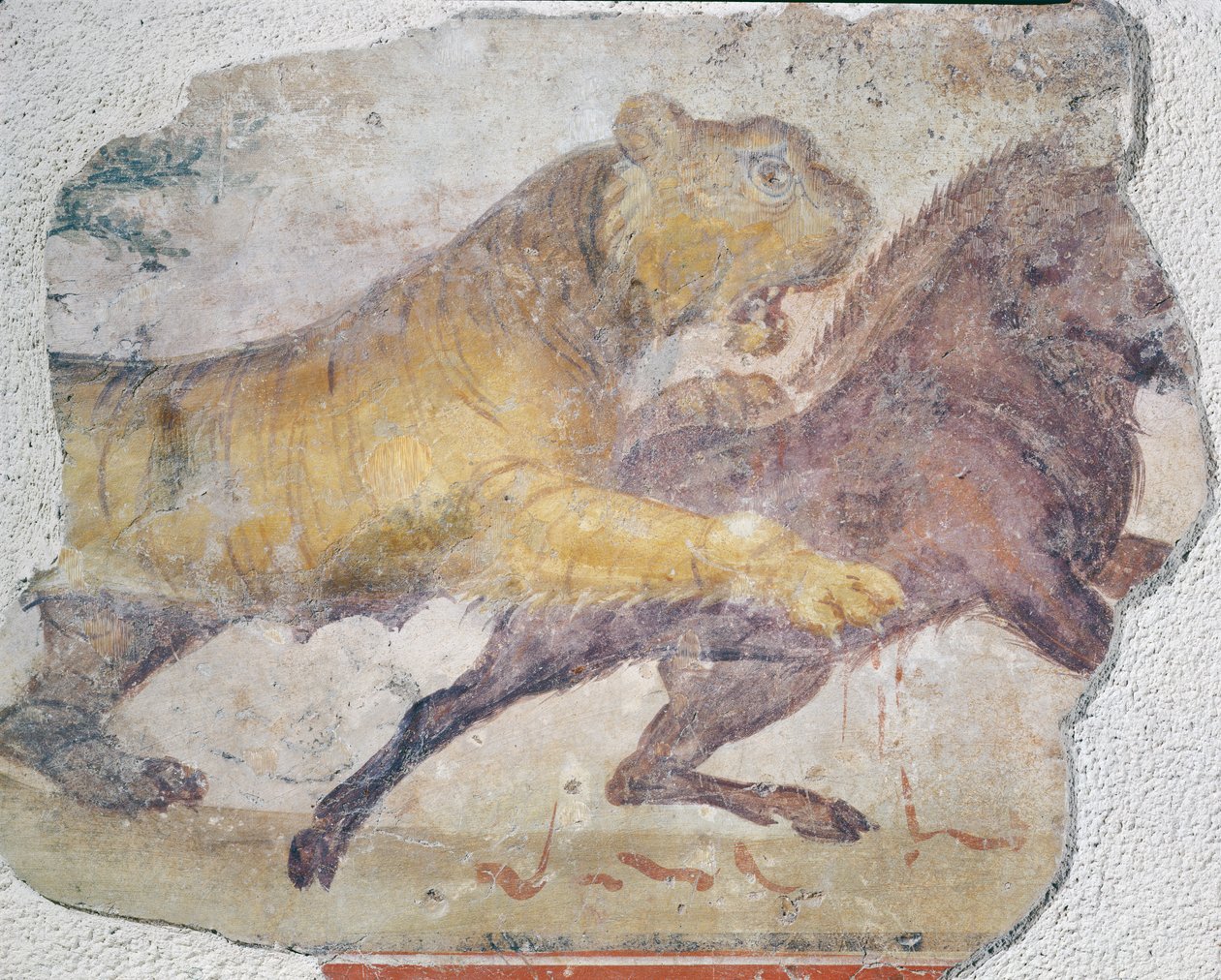 Tygrys atakujący dzika z amfiteatru Merida autorstwa Roman