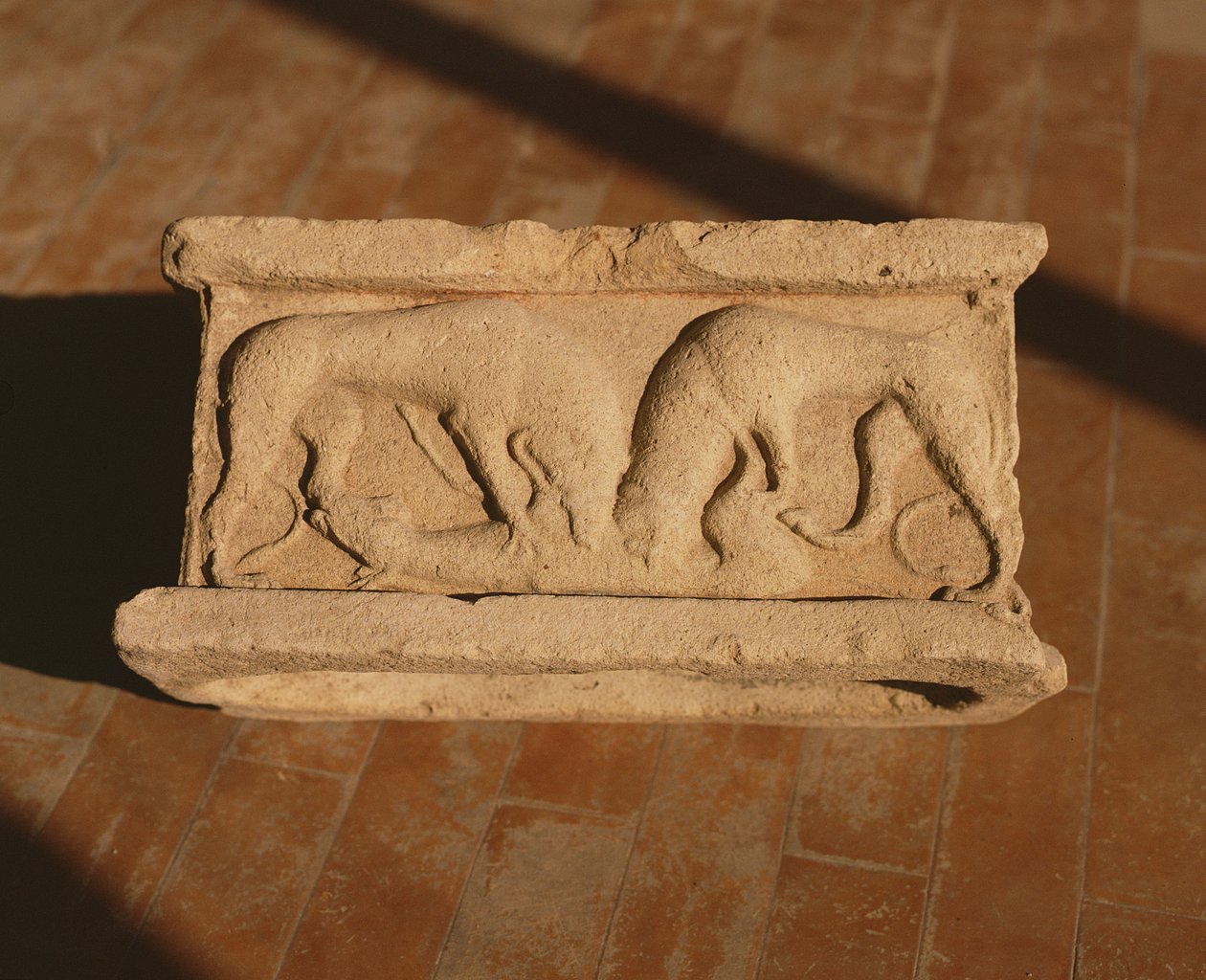 Arula autorstwa Roman