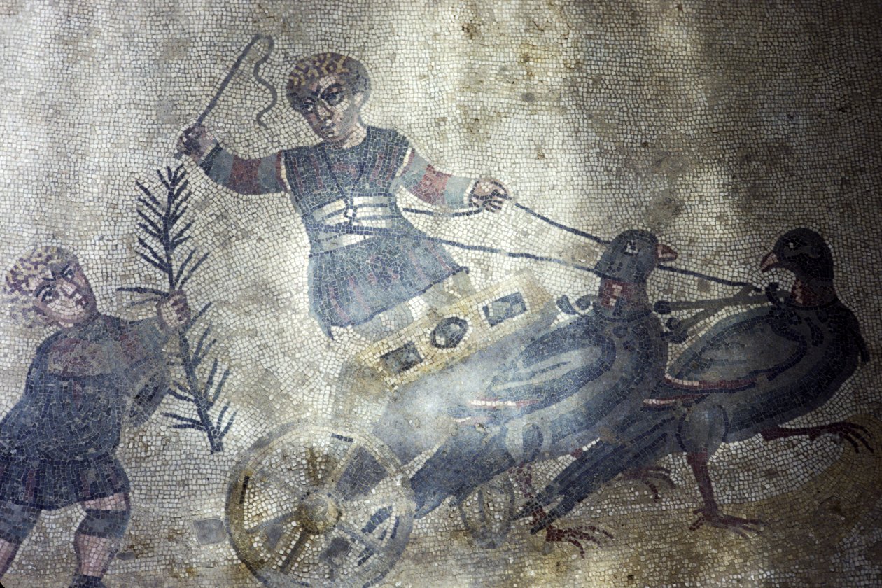 Woźnica ptaków (mozaika) autorstwa Roman