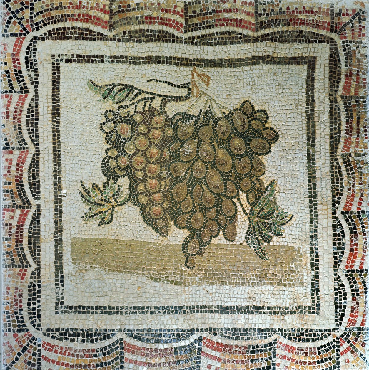 Kiść białych winogron, mozaika rzymska (mozaika) autorstwa Roman