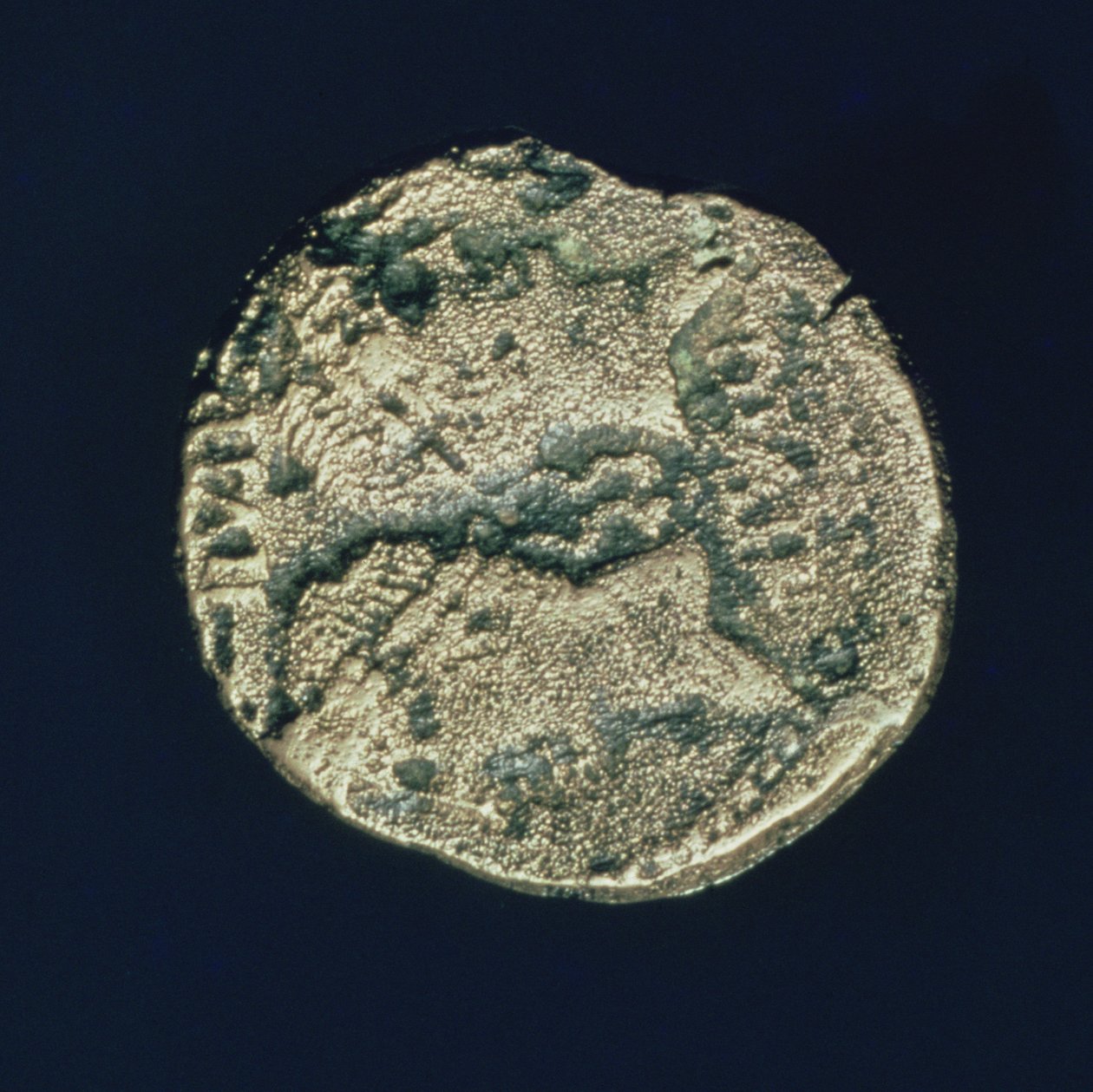 Moneta z głowami Juliusza Cezara (101-44 pne) i Augusta (63-14 pne) (brąz) autorstwa Roman