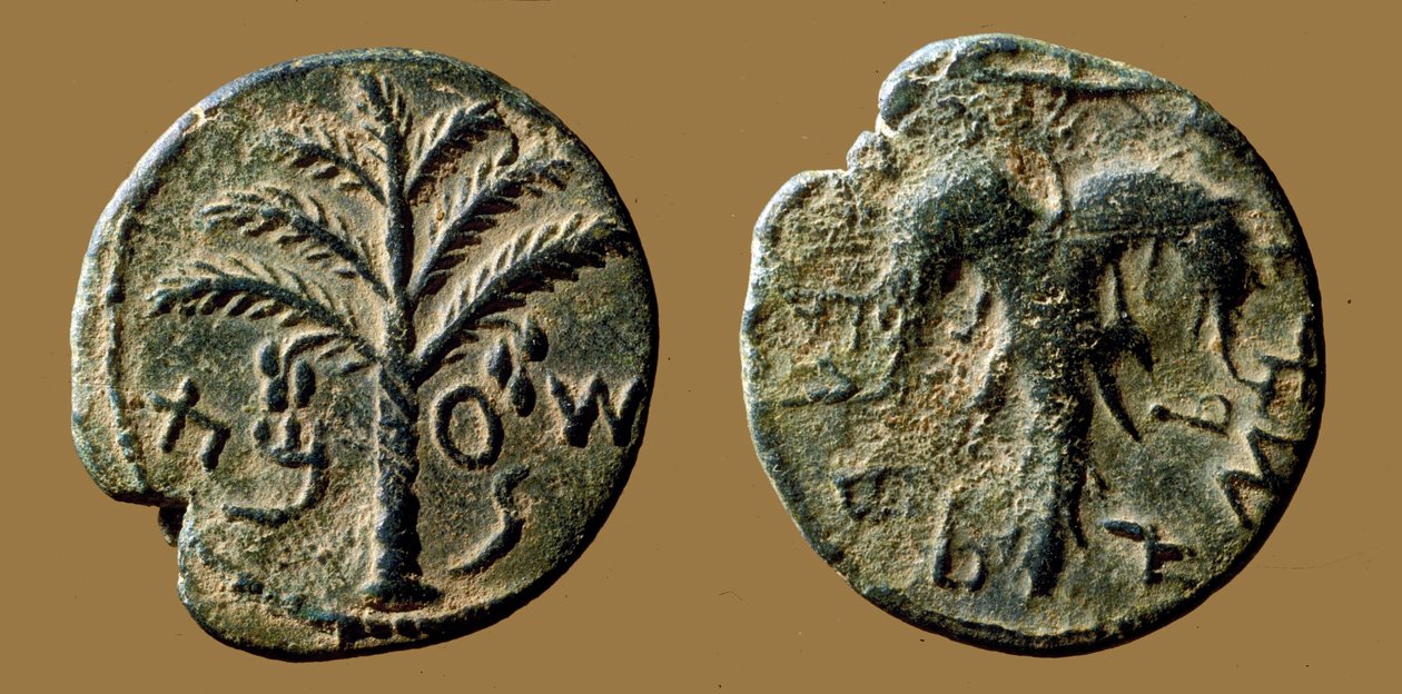 Monety upamiętniające powstanie Bar-Kochby przeciwko Rzymianom, 132-133 (brąz) autorstwa Roman