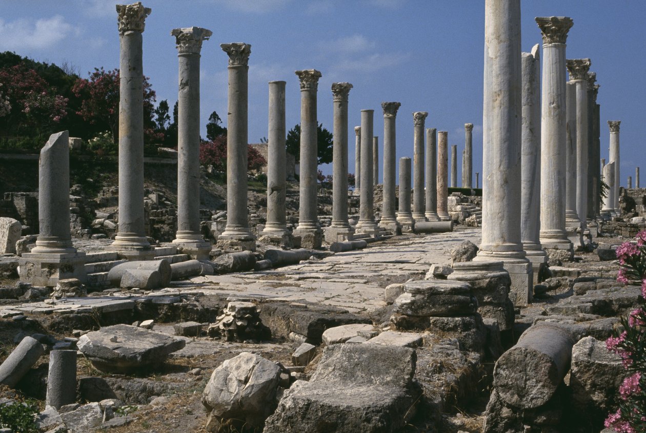 Kolumnada autorstwa Roman