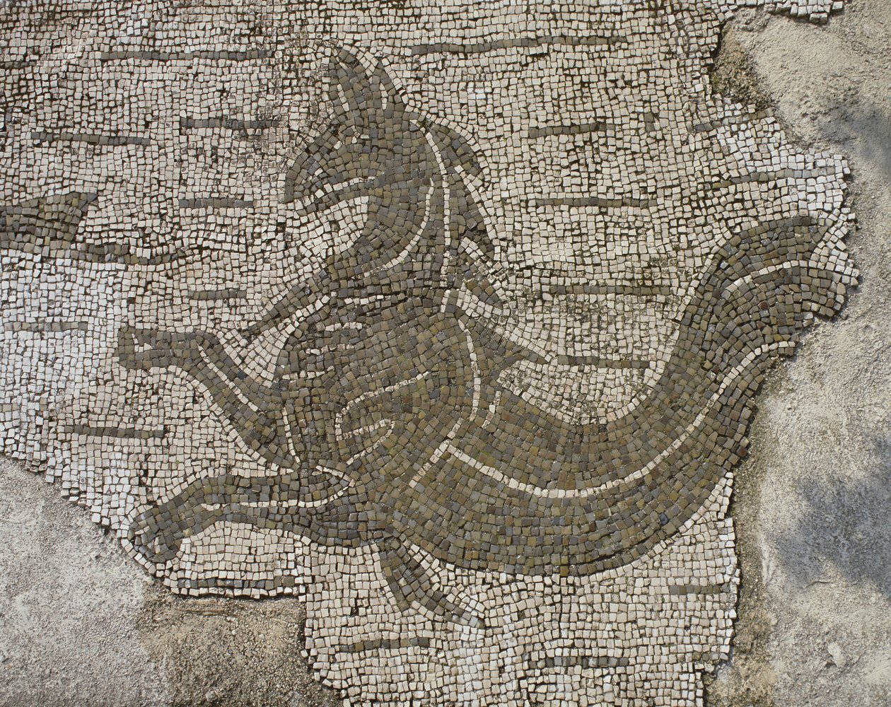 Smok (mozaika) autorstwa Roman