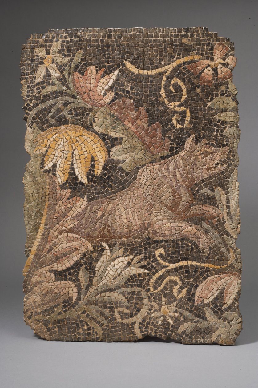 Fragment mozaiki przedstawiającej wilka (mozaika) autorstwa Roman