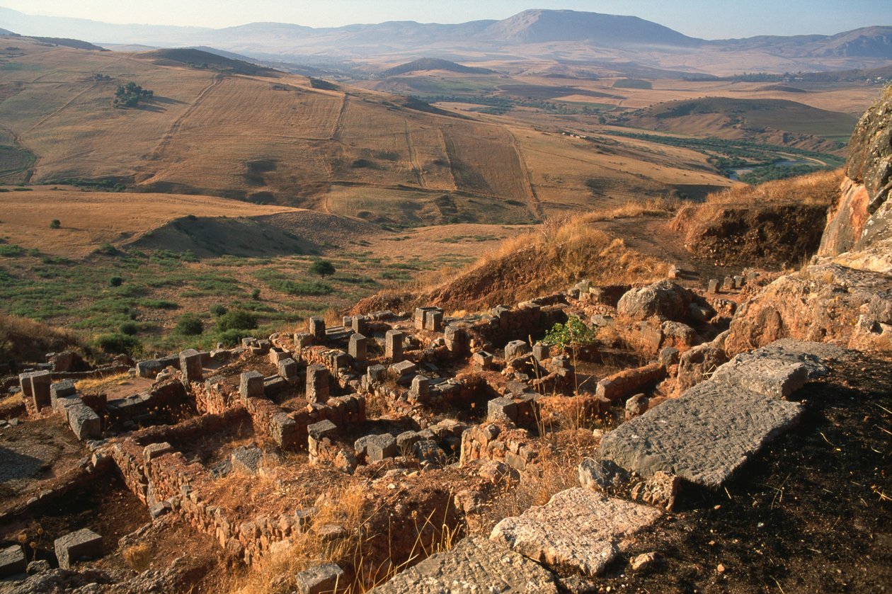 Ogólny widok na plac budowy autorstwa Roman