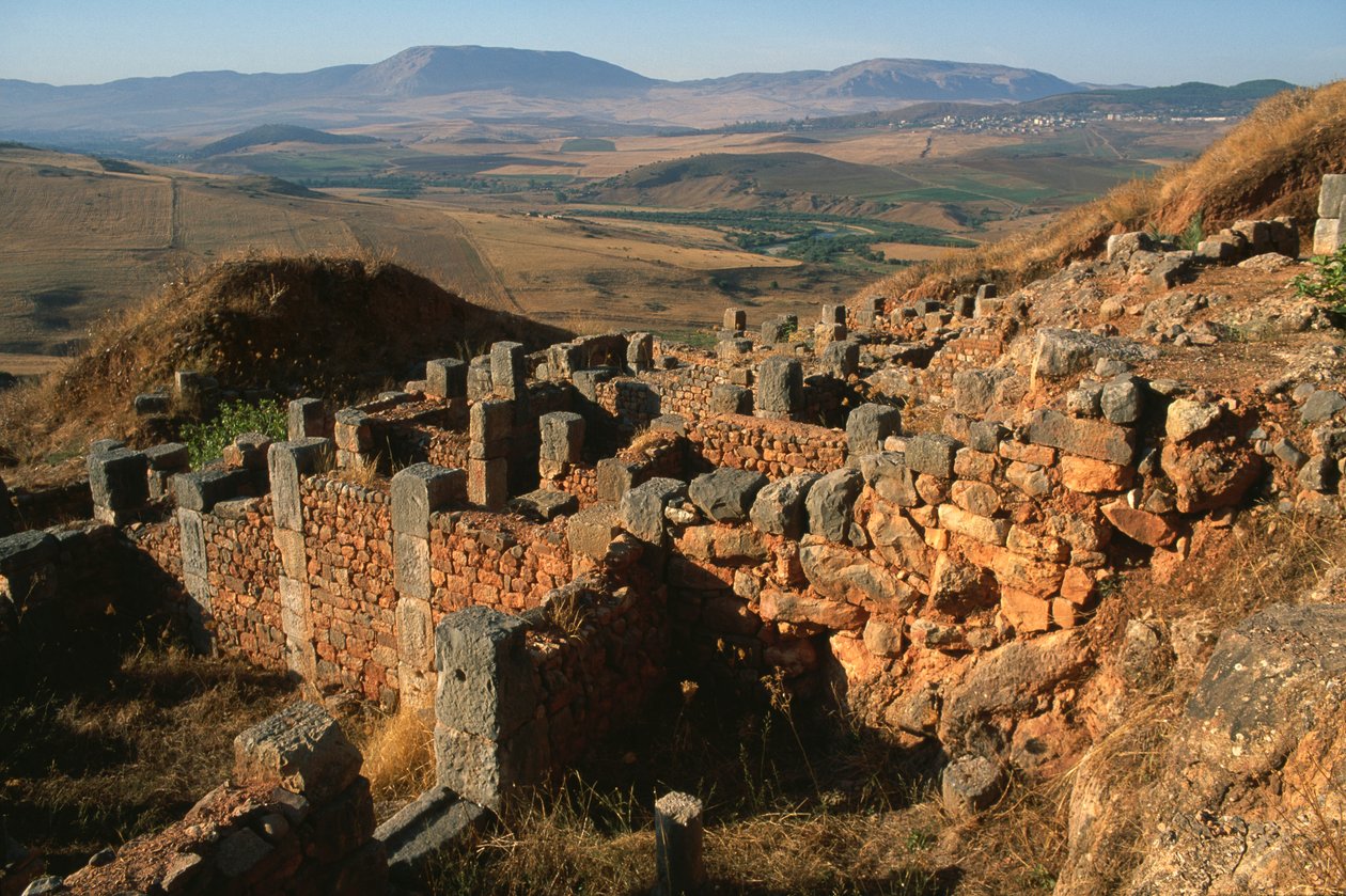 Ogólny widok strony autorstwa Roman